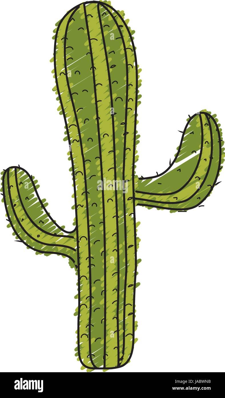 beautiful cactus plant of desert Stock Vector Image & Art - Alamy
