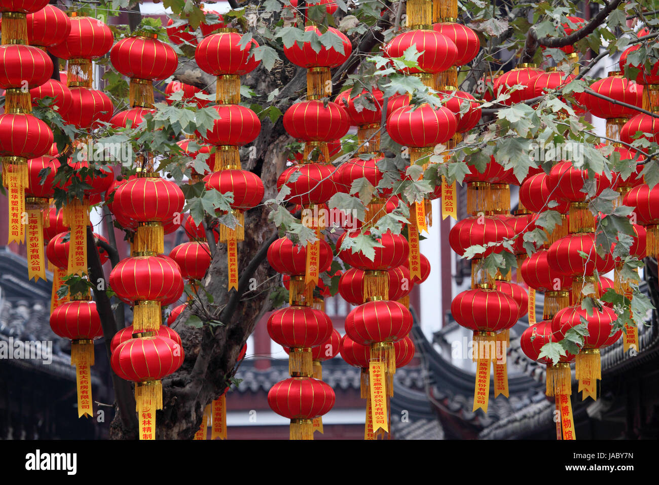 Traditional red chinese lantern in Shanghai, China Stock Photo - Alamy