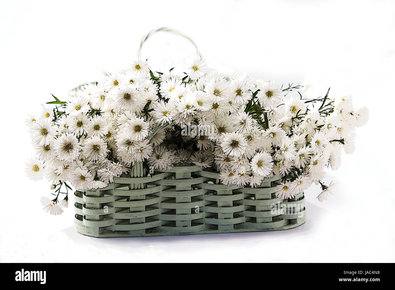 Vase with white flowers on white background Stock Photo - Alamy