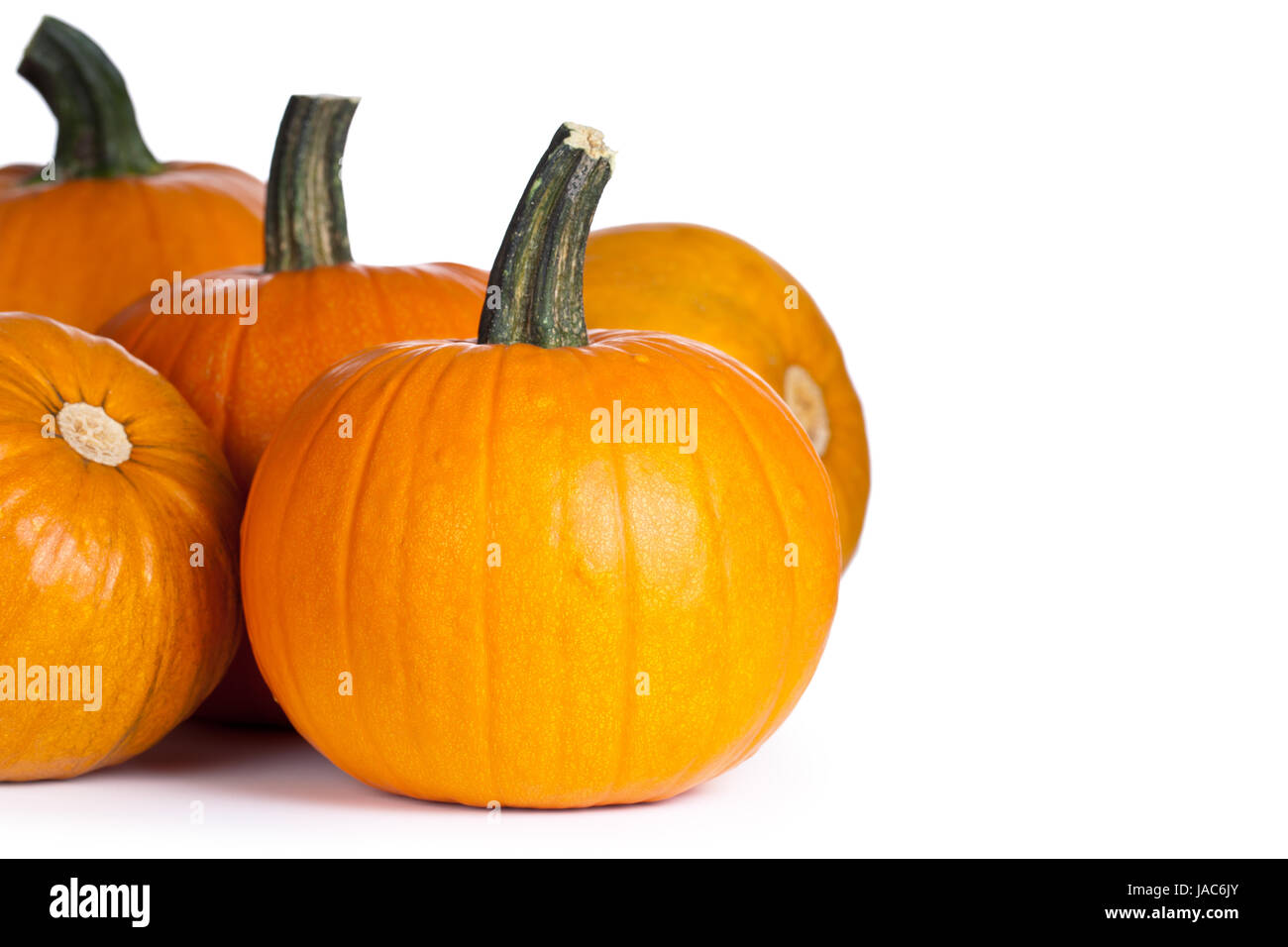 Pumpkins on white background with copy space. Autumn and halloween ...