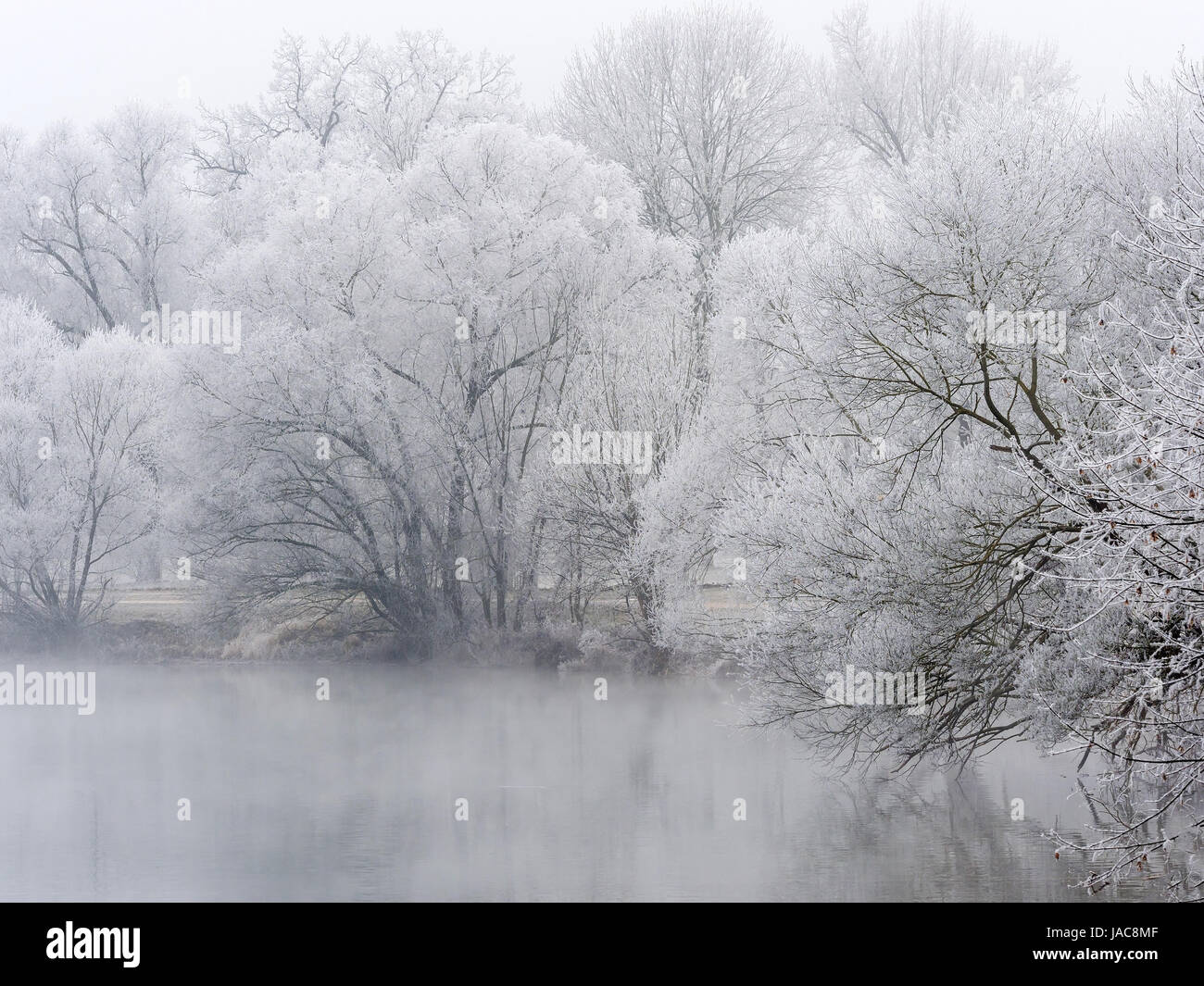 Scenery with trees and hoarfrost with cold in winter. Typical winter picture as a background., Landschaft mit Bäumen und Raureif bei Kälte im Winter.  Stock Photo