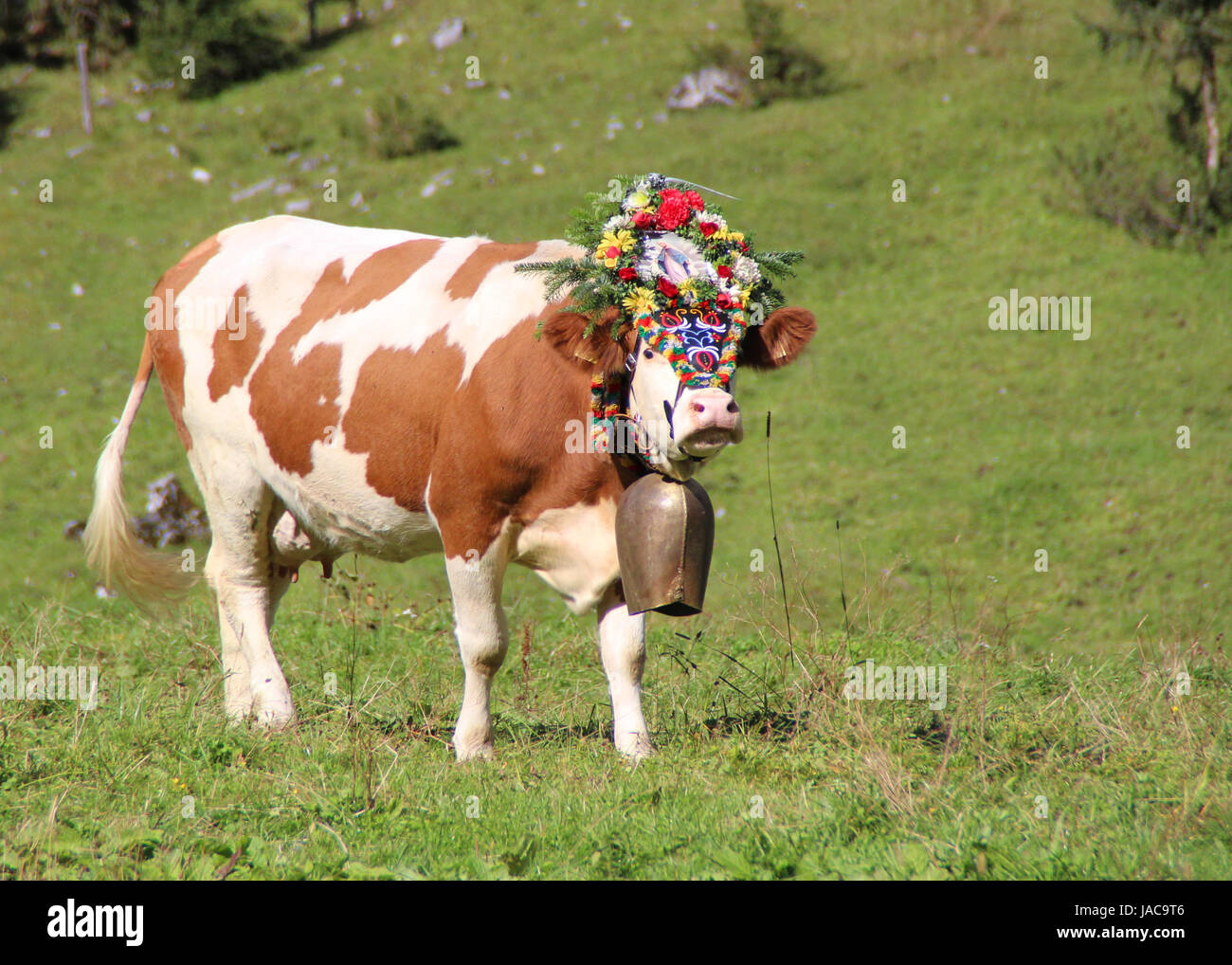 holiday vacation Stock Photo