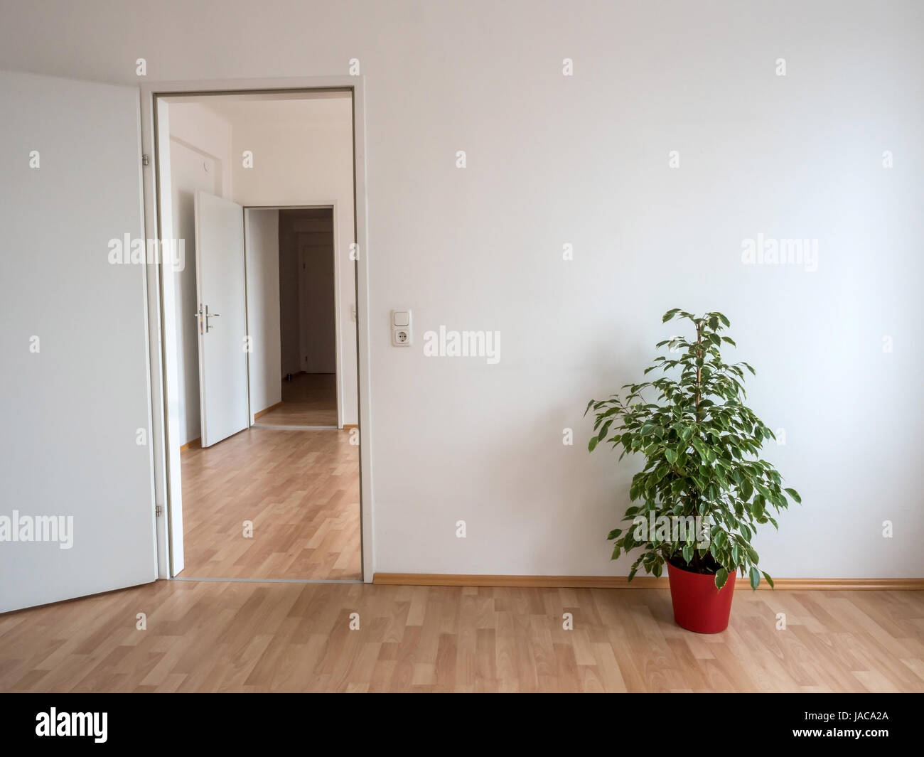 New flat was improved in appearance with a flowering pot plant. Symbolic photo for move, ?bersiedlung. No money for piece of furniture because of high Stock Photo