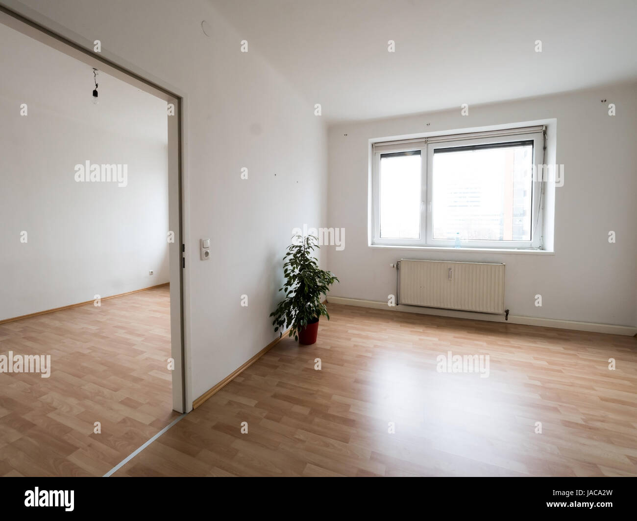 New flat was improved in appearance with a flowering pot plant. Symbolic photo for move, ?bersiedlung. No money for piece of furniture because of high Stock Photo