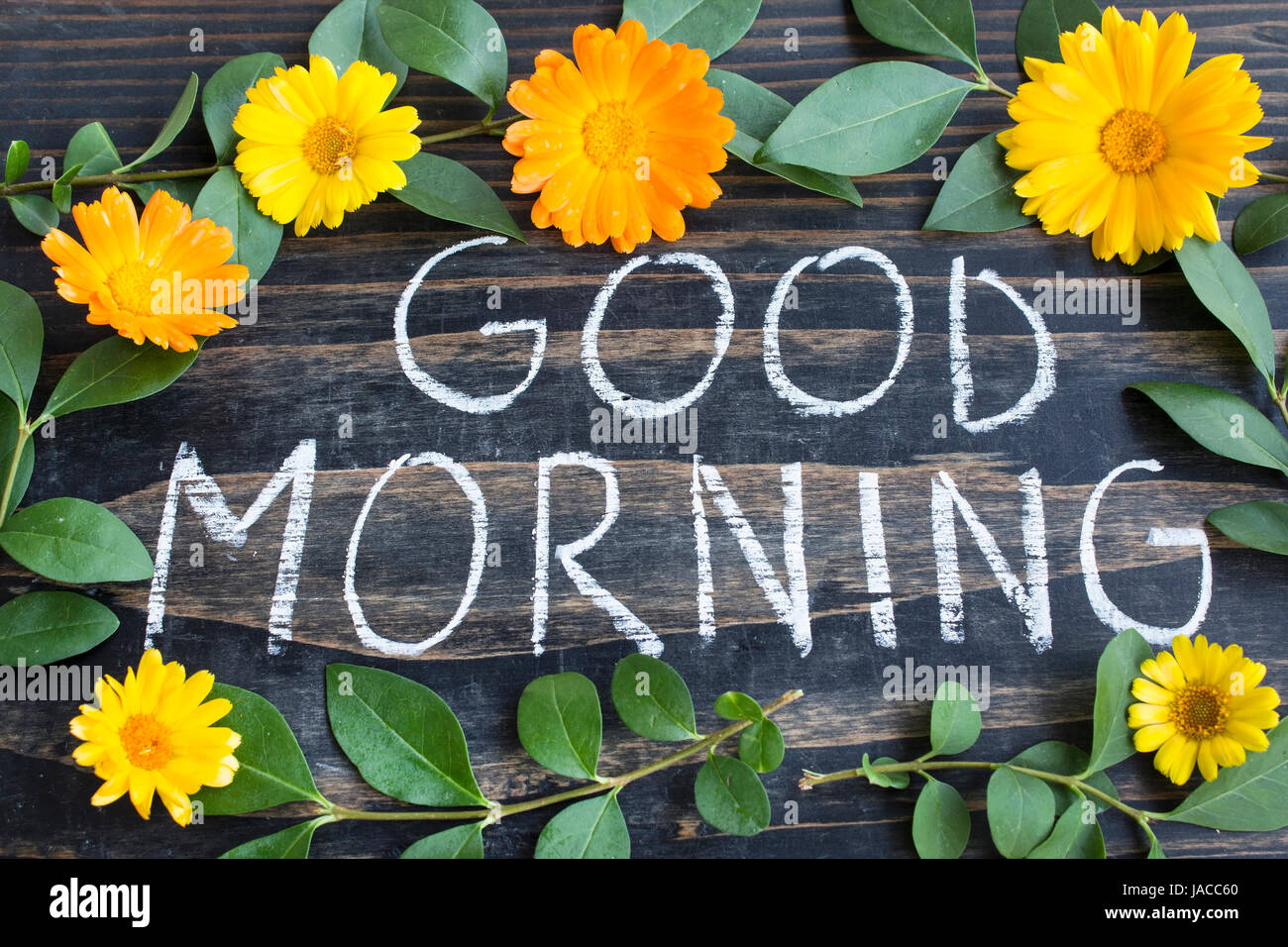 Words Good Morning with Leaves and Marigold Flowers on a Rustic ...