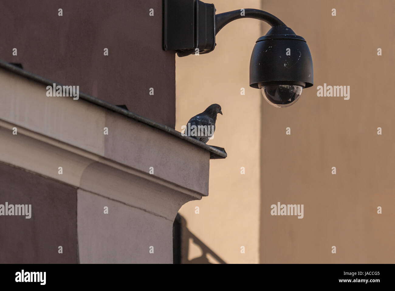 Overhead Surveillance CCTV security camera 360 degree Stock Photo Alamy