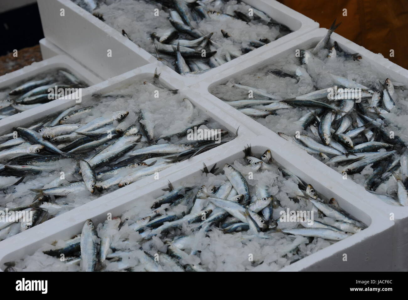 spain - fresh fish Stock Photo - Alamy