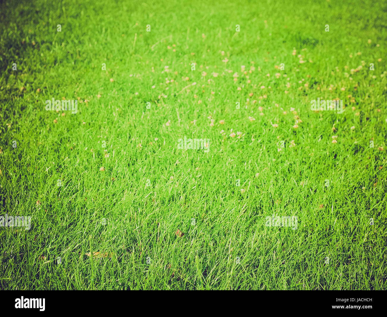 Vintage looking green grass meadow lawn background Stock Photo - Alamy
