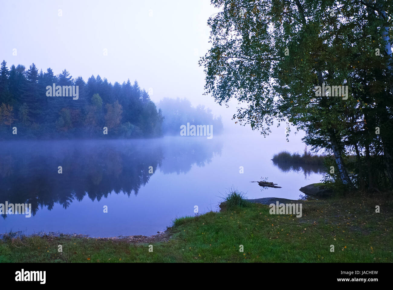 cool morning at the pond Stock Photo Alamy