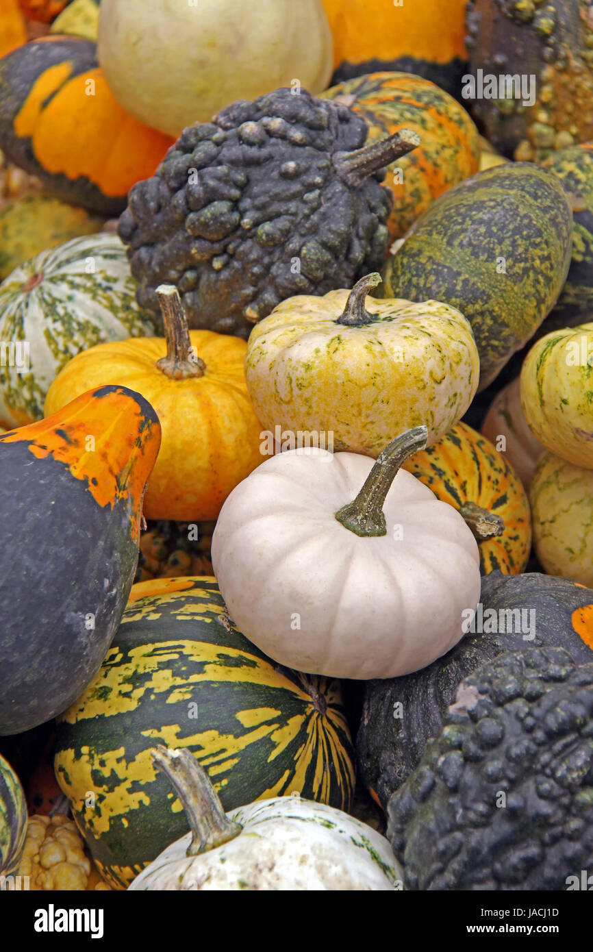 gourds Stock Photo