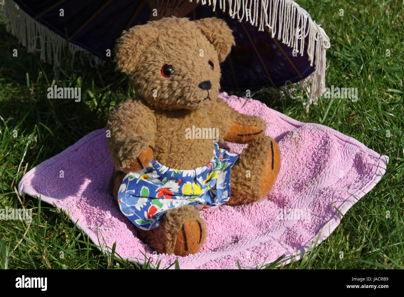 Teddybär beim Sonnenbaden Stock Photo