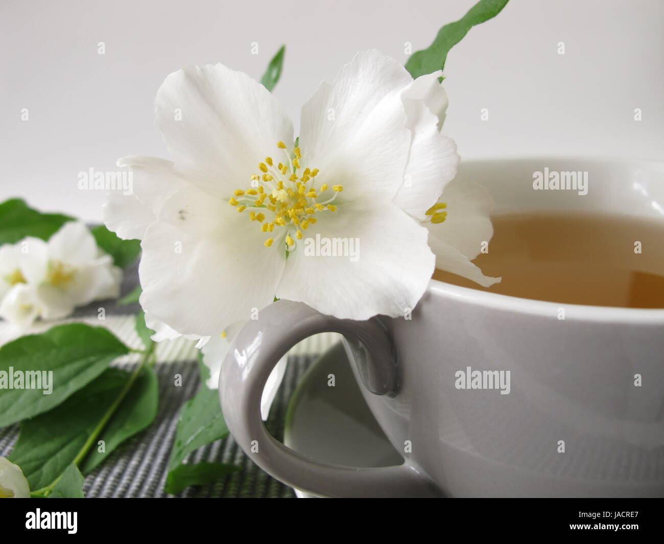 white tea and jasmine summer Stock Photo Alamy