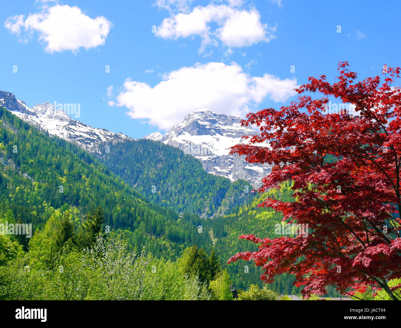 alps mountain holiday nature austria spring landscape Stock Photo - Alamy