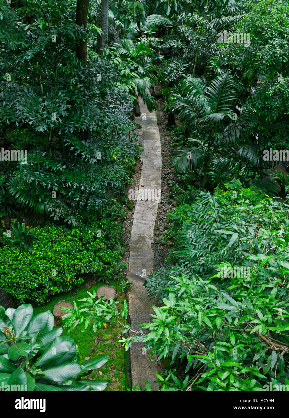 Lush tropical rainforest hi-res stock photography and images - Alamy