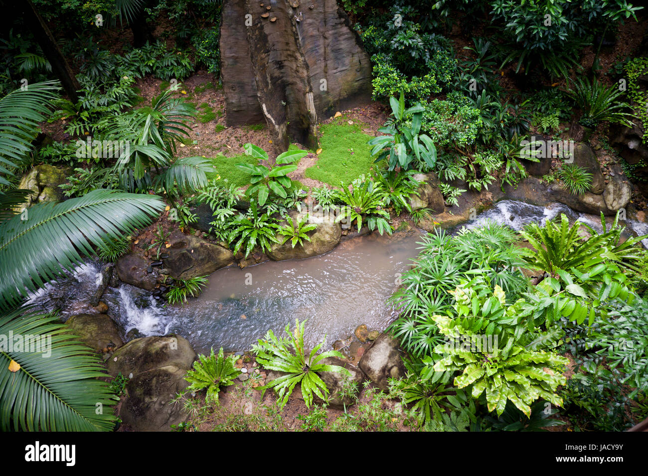 Lush green tropical exotic jungle nature background Stock Photo - Alamy