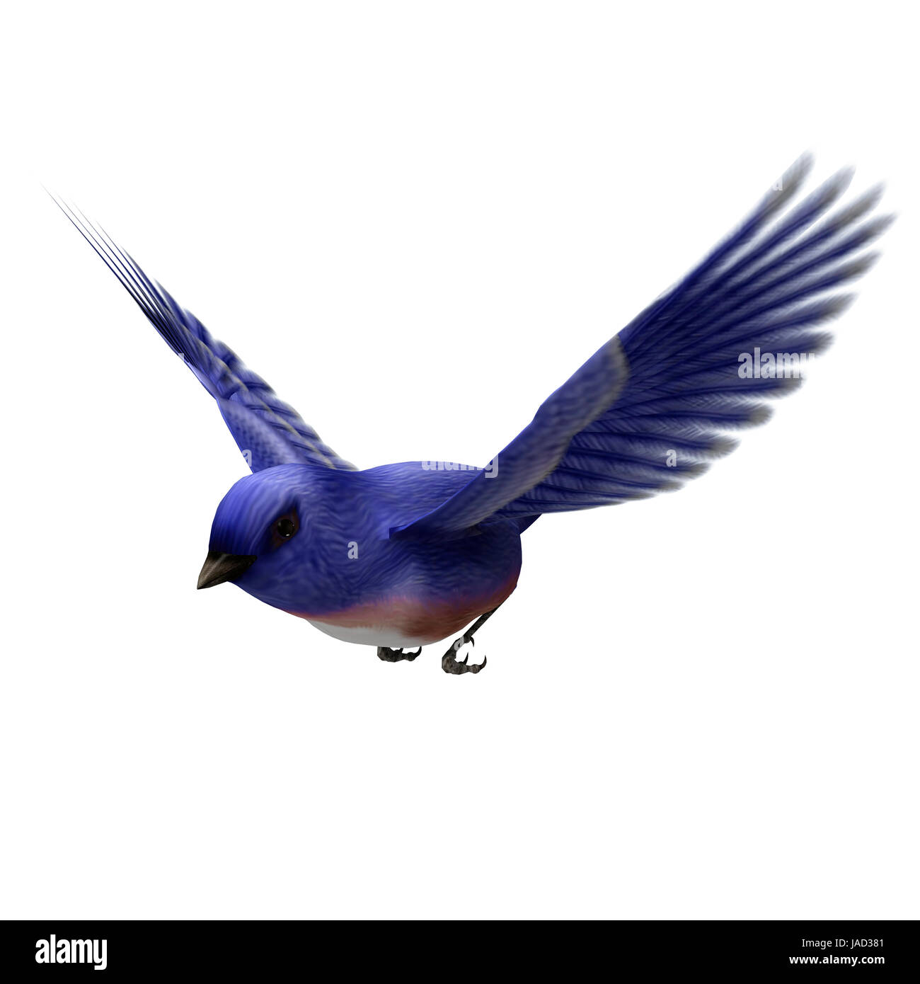3d digital render of an eastern blue bird isolated on white background