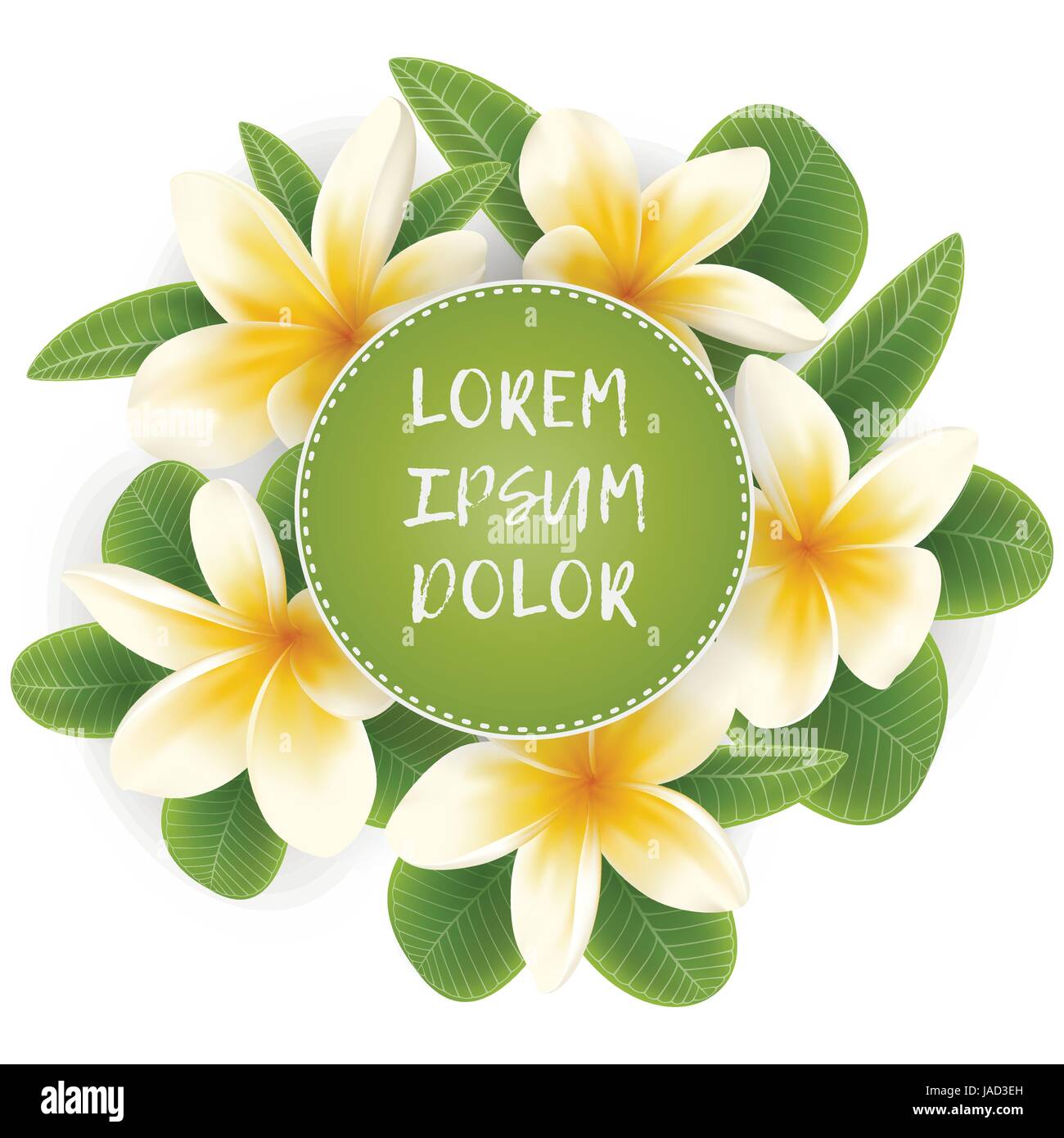 template with Plumeria flower wreath Stock Vector Image &amp; Art - Alamy