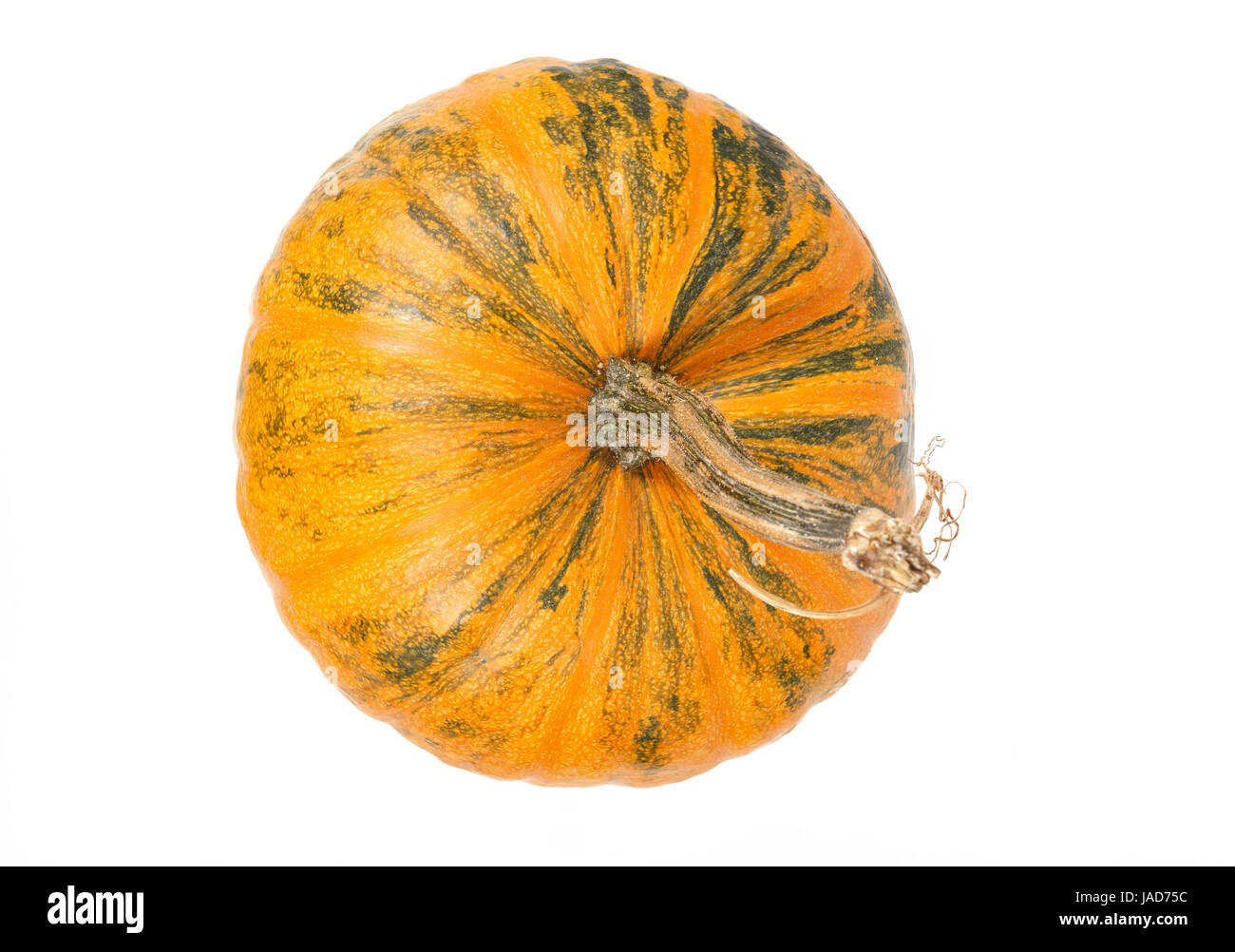 top view of fresh orange pumpkin isolated on white background Stock ...