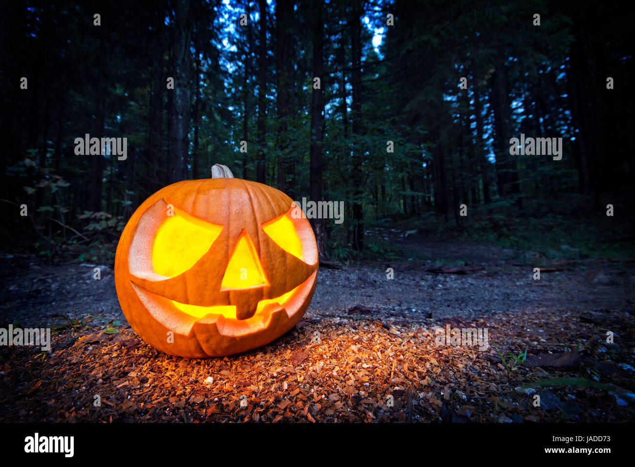Scary halloween pumpkin in the dark forest at night Stock Photo - Alamy