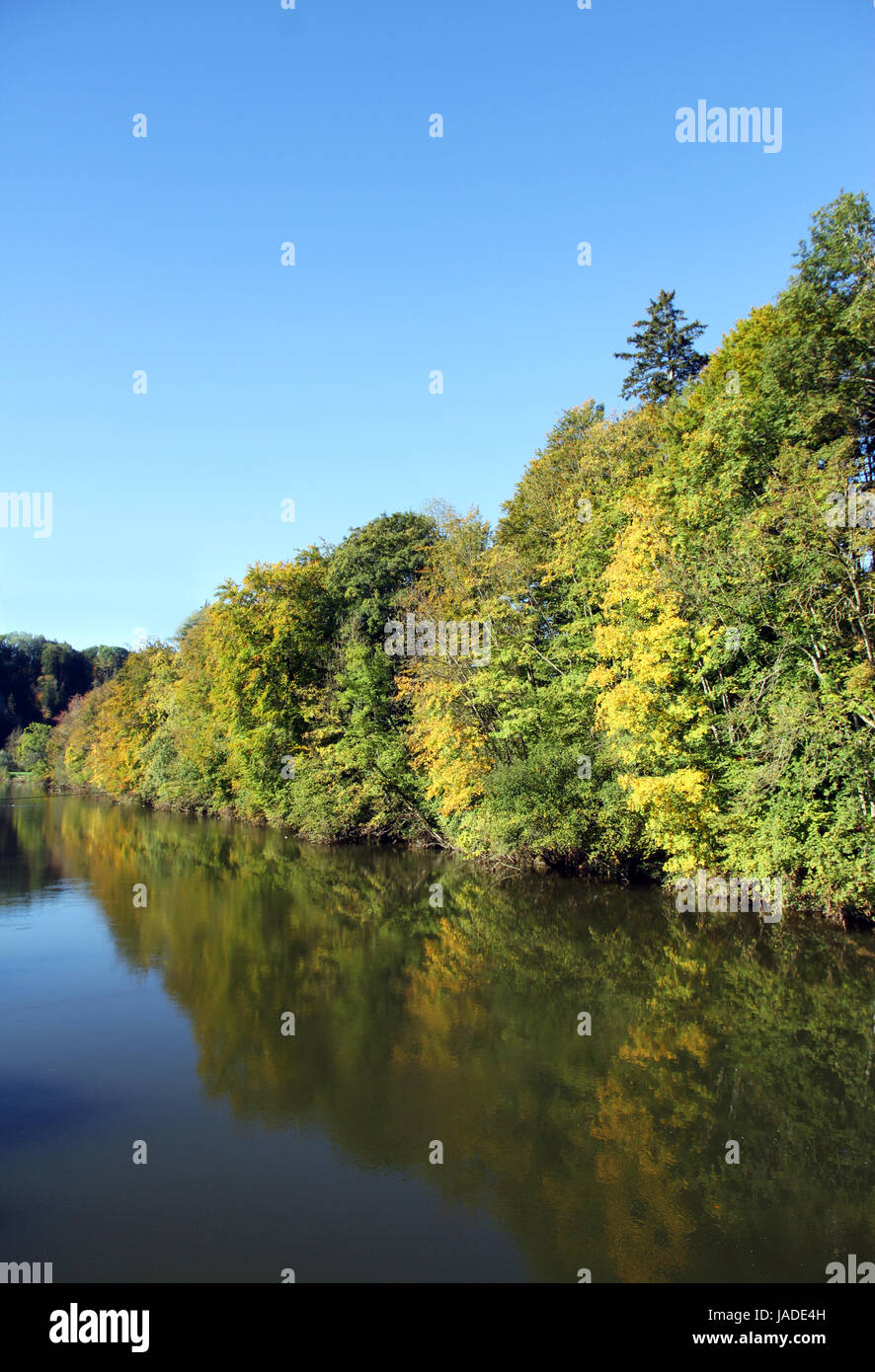 trees autumn colours Stock Photo - Alamy