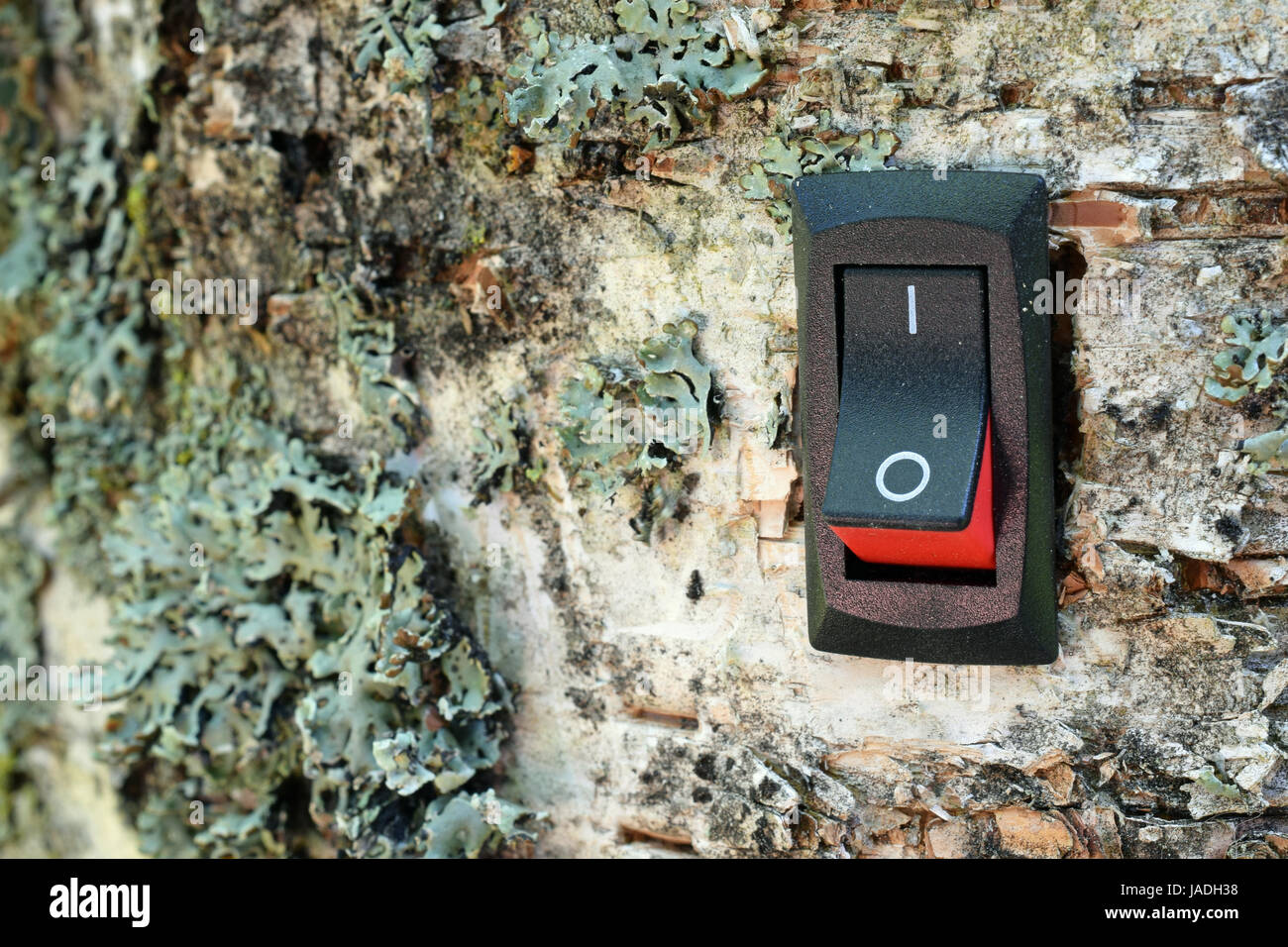 Power switch installed on birch tree. Concept of conservation, green business and alternative energy. Stock Photo
