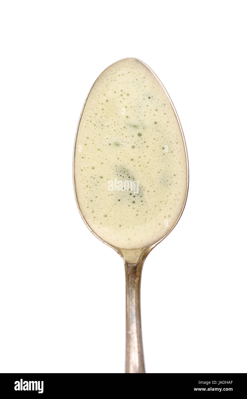Löffel mit Schaum von grüner Kräutersuppe mit Majoran Stock Photo - Alamy