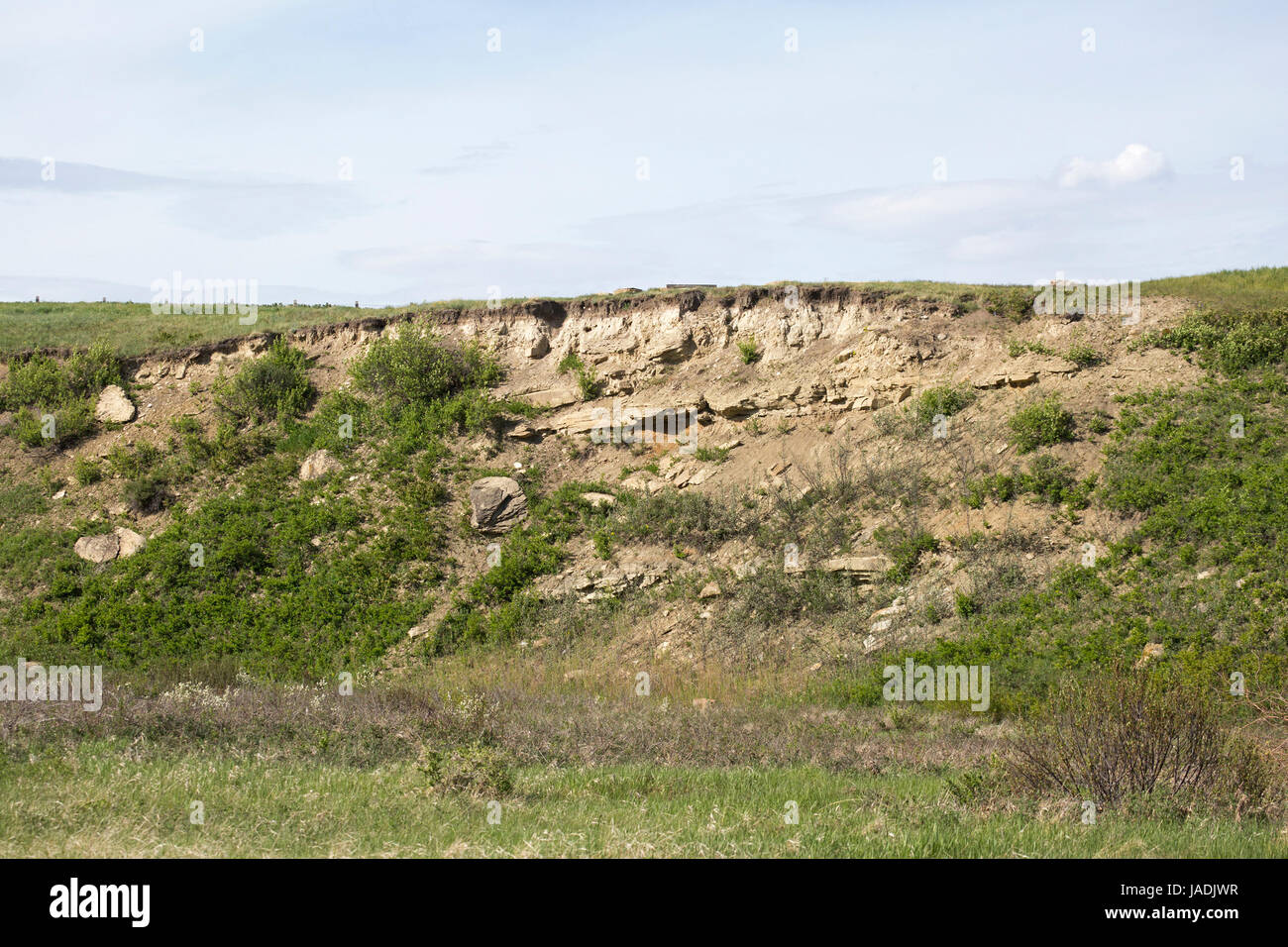 Sandstone outcrop of the Porcupine Hills Formation along the bank of a glacial outwash channel Stock Photo