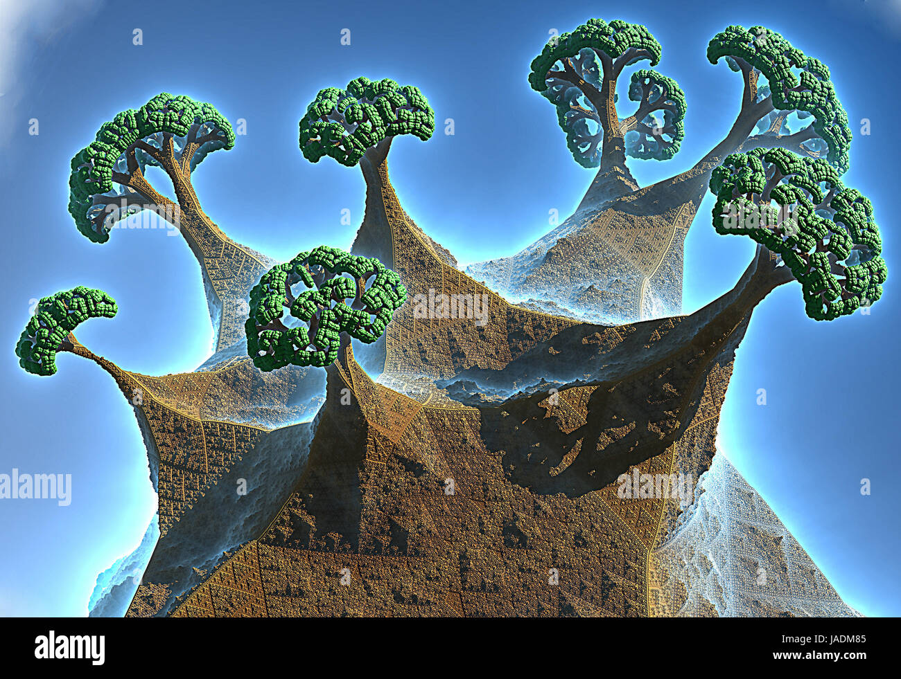 Coole Fraktale In Der Natur