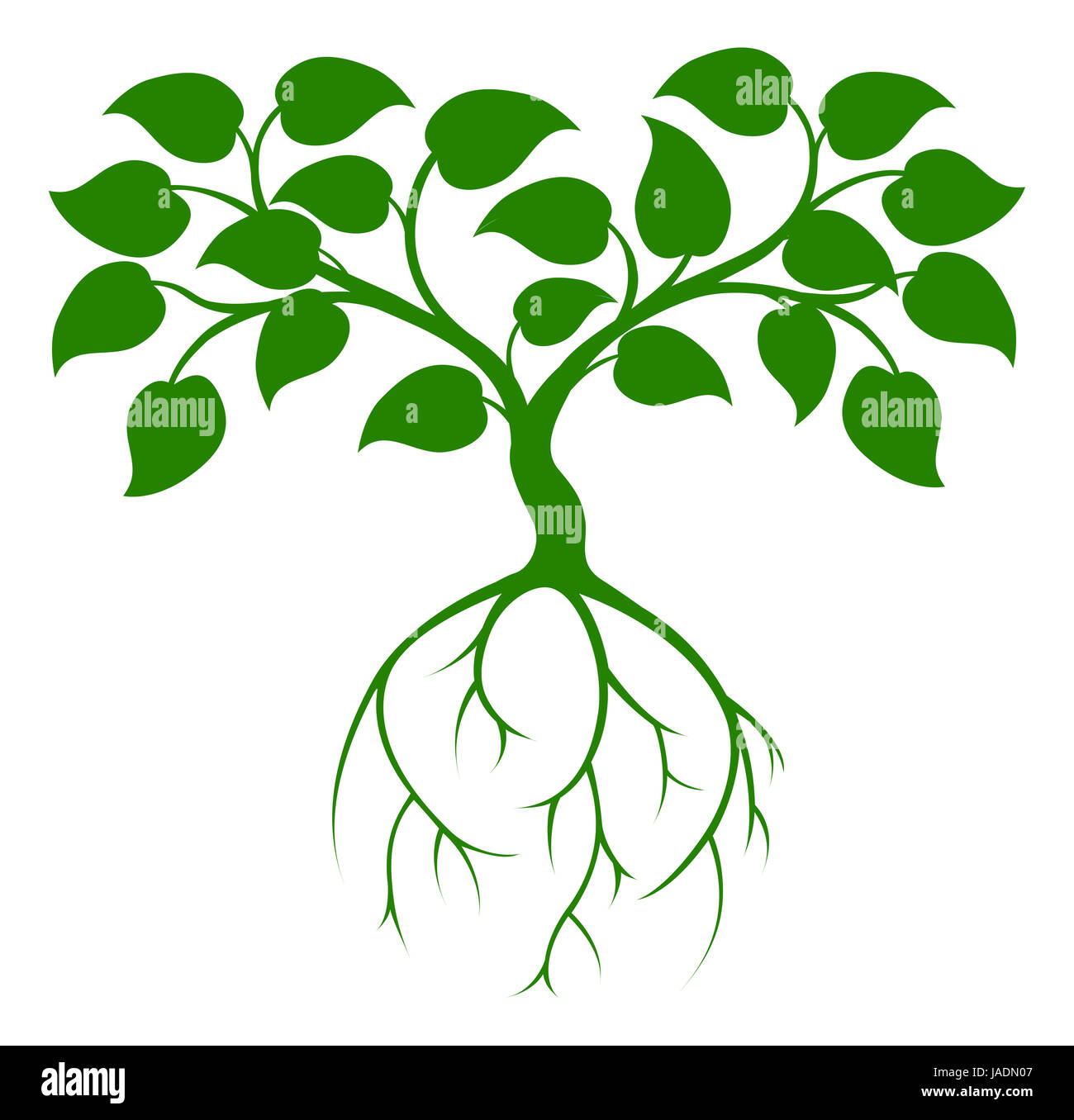 Tree root illustration abstract hires stock photography and images Alamy