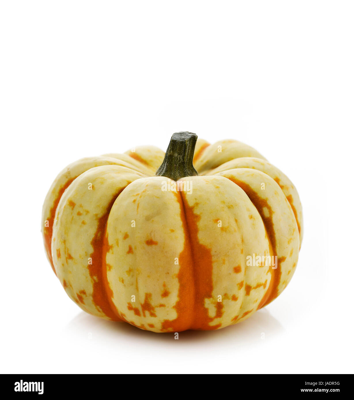 Yellow And Orange Pumpkin On White Background Stock Photo - Alamy