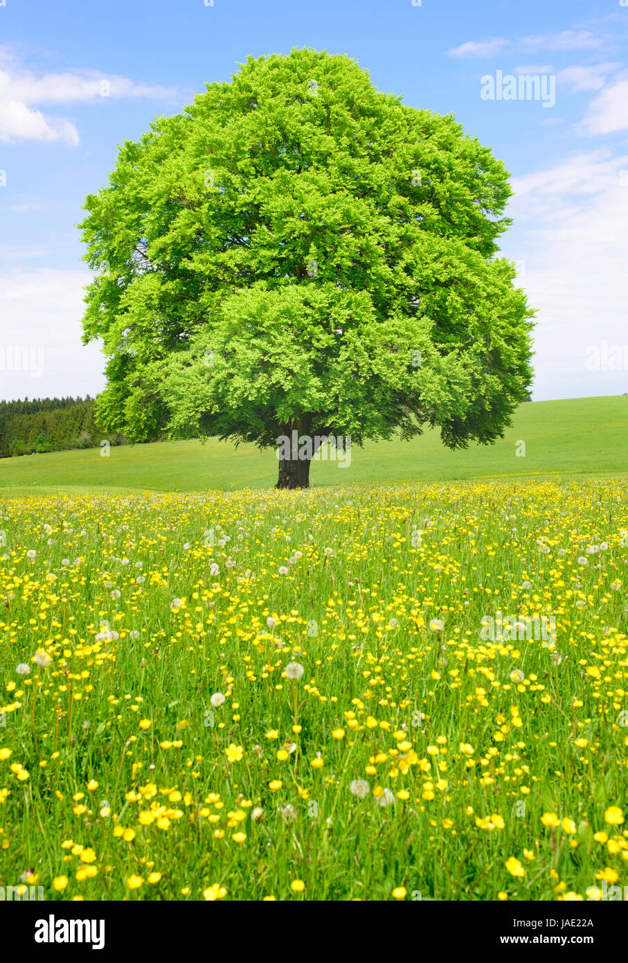 Single-Männer in Marktoberdorf