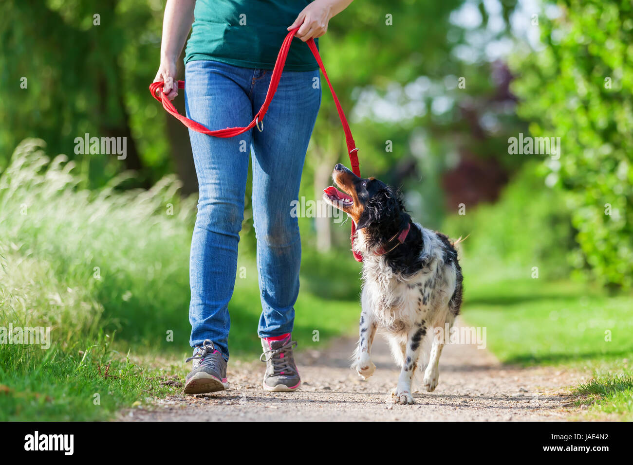 Mature woman summer walking hi-res stock photography and images - Alamy