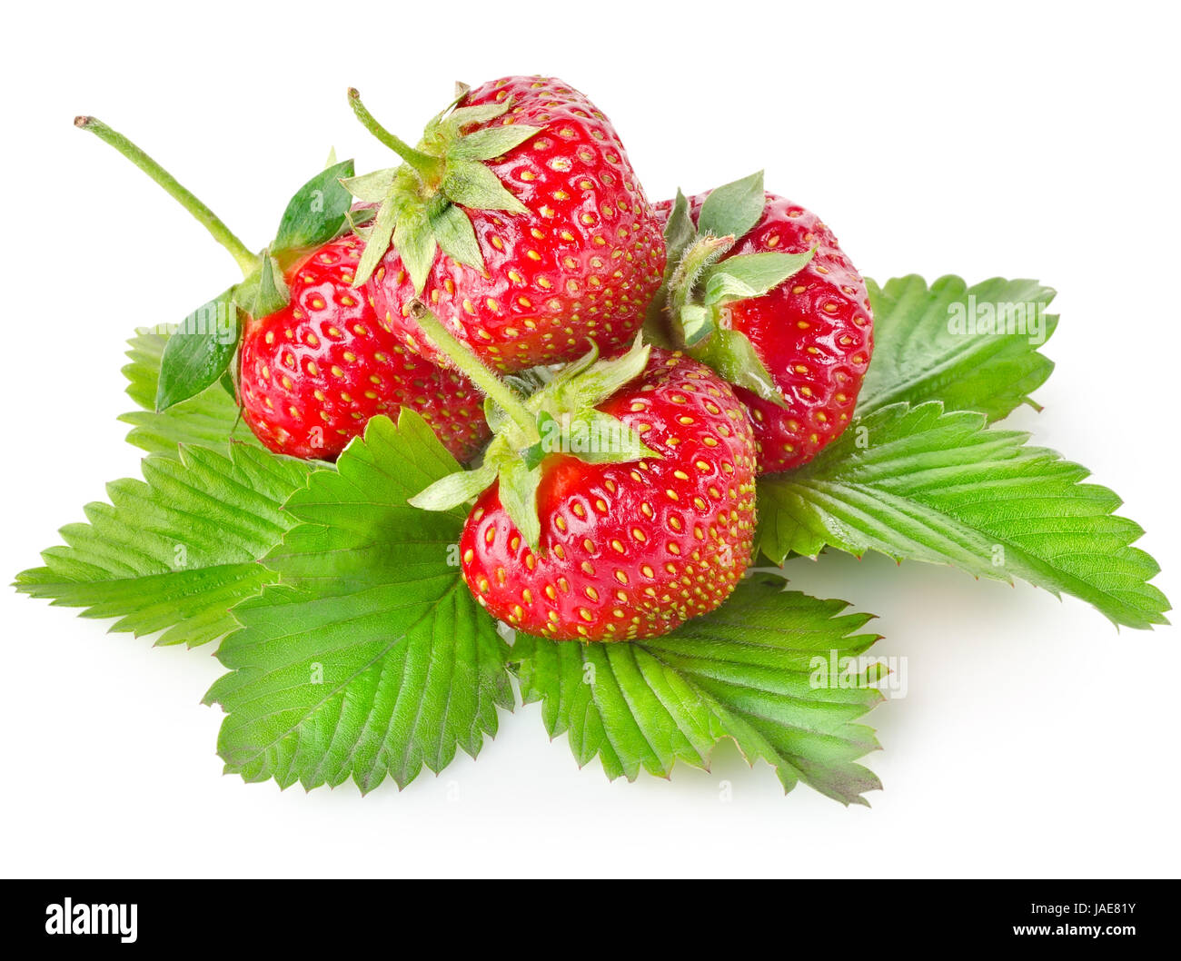 Ripe strawberries with leaves isolated on white background Stock Photo ...