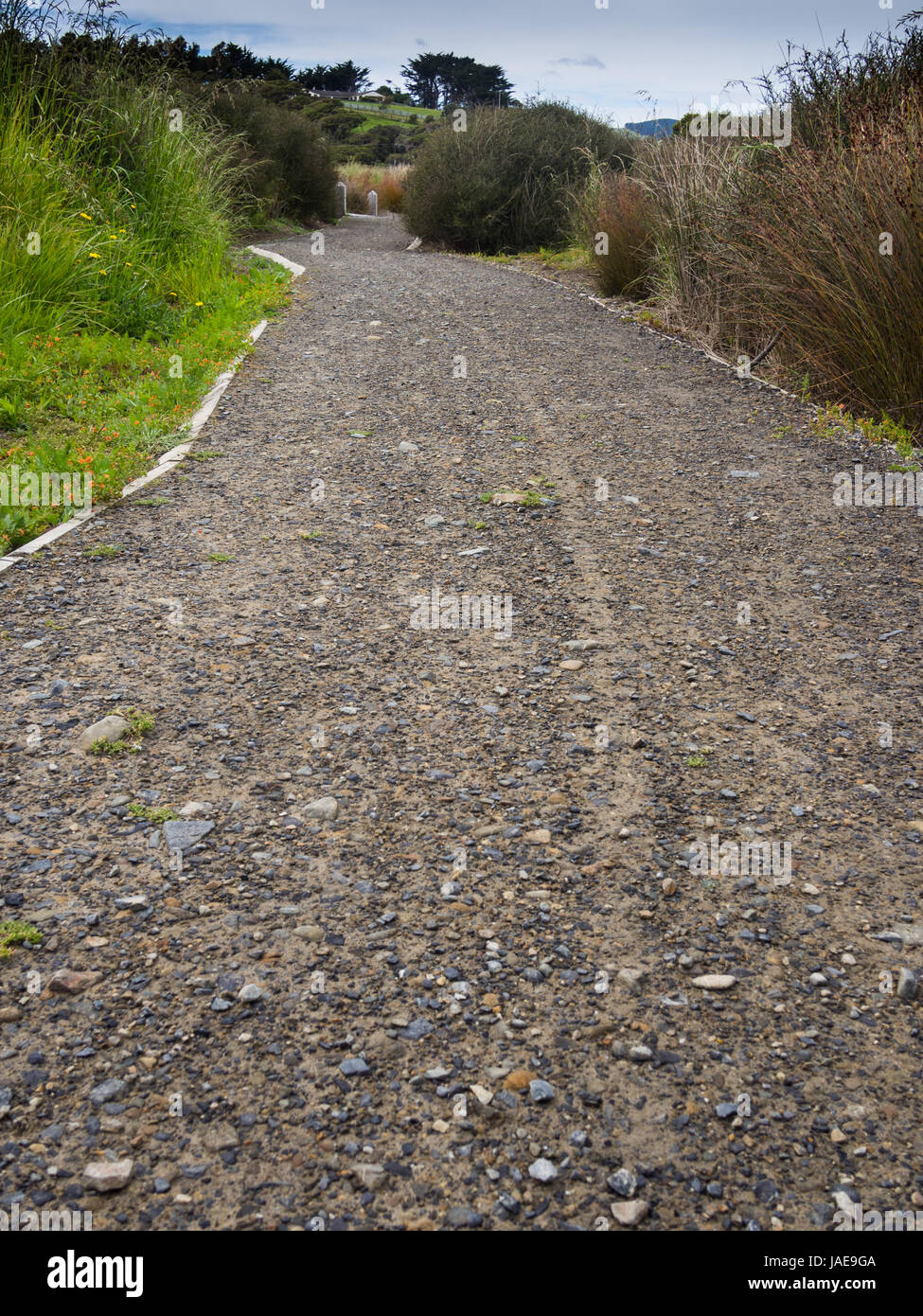 Wetland Walking Track Gravel Path Stock Photo - Alamy