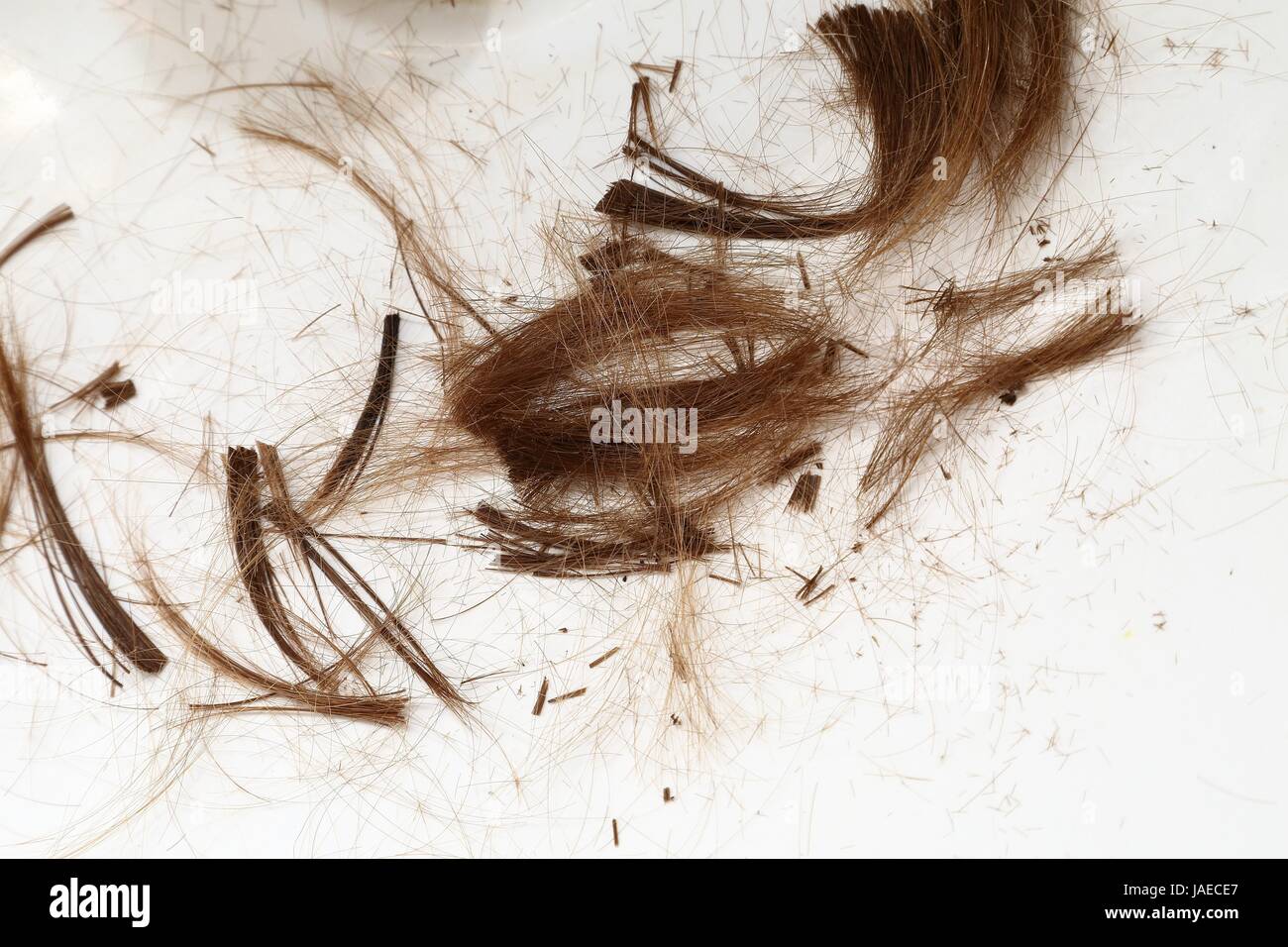 Cut Hair On The Floor Stock Photo 144146639 Alamy