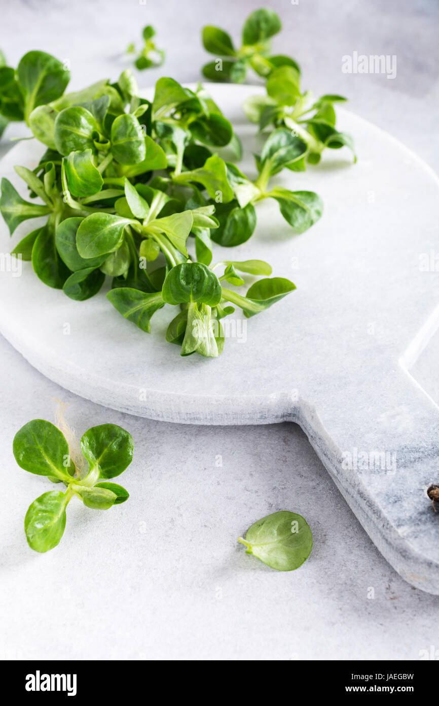 Background with green fresh field salad and marble cutting board on light gray stone table. Healthy food concept with copy space. Stock Photo