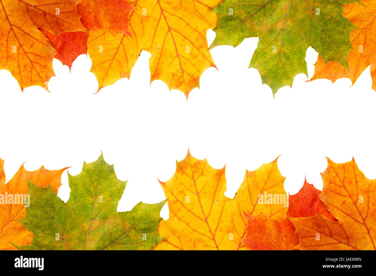Autumn maple leaves frame with copy space Stock Photo - Alamy