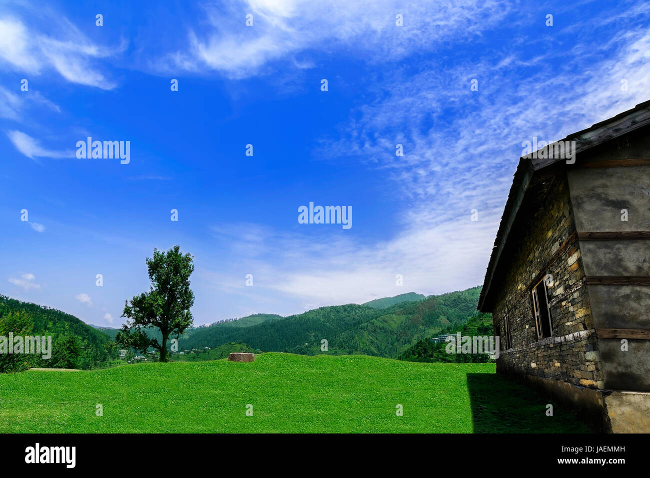 Idyllic and beautiful landscape with an old abandoned wooden house in the Janjehli valley, Himachal Pradesh Stock Photo