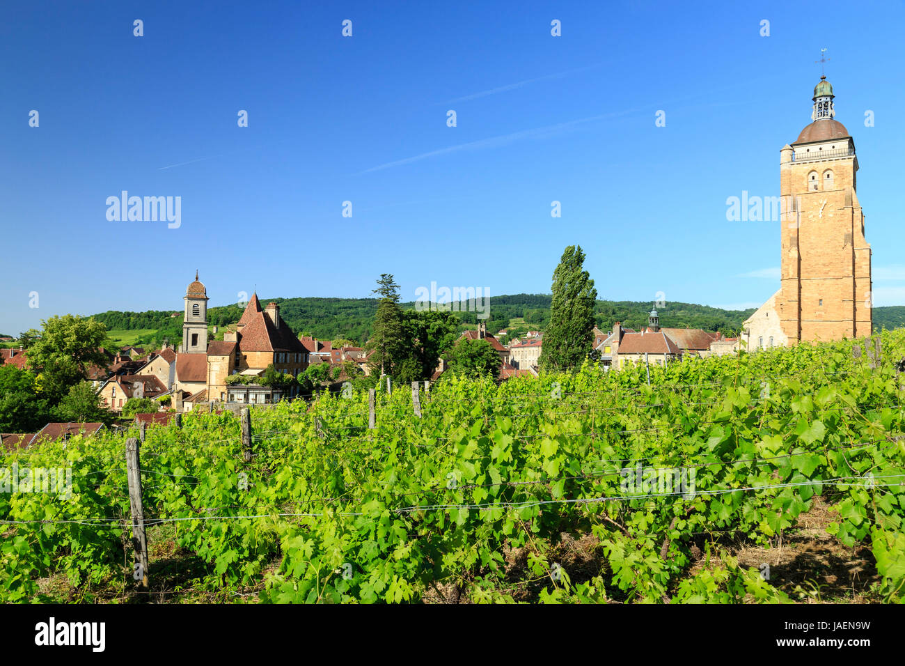 France, Jura, Arbois, right, Saint Just church tower, left, Bontemps castel and the belle tower of the former collegiate Notre Dame, in front, the vin Stock Photo