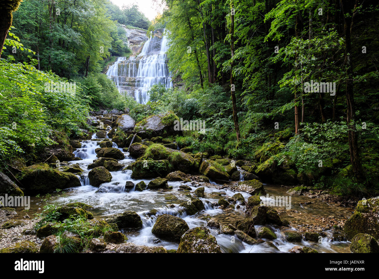 France, Jura, Menetrux en Joux, Herisson waterfalls, Eventaille fall Stock Photo