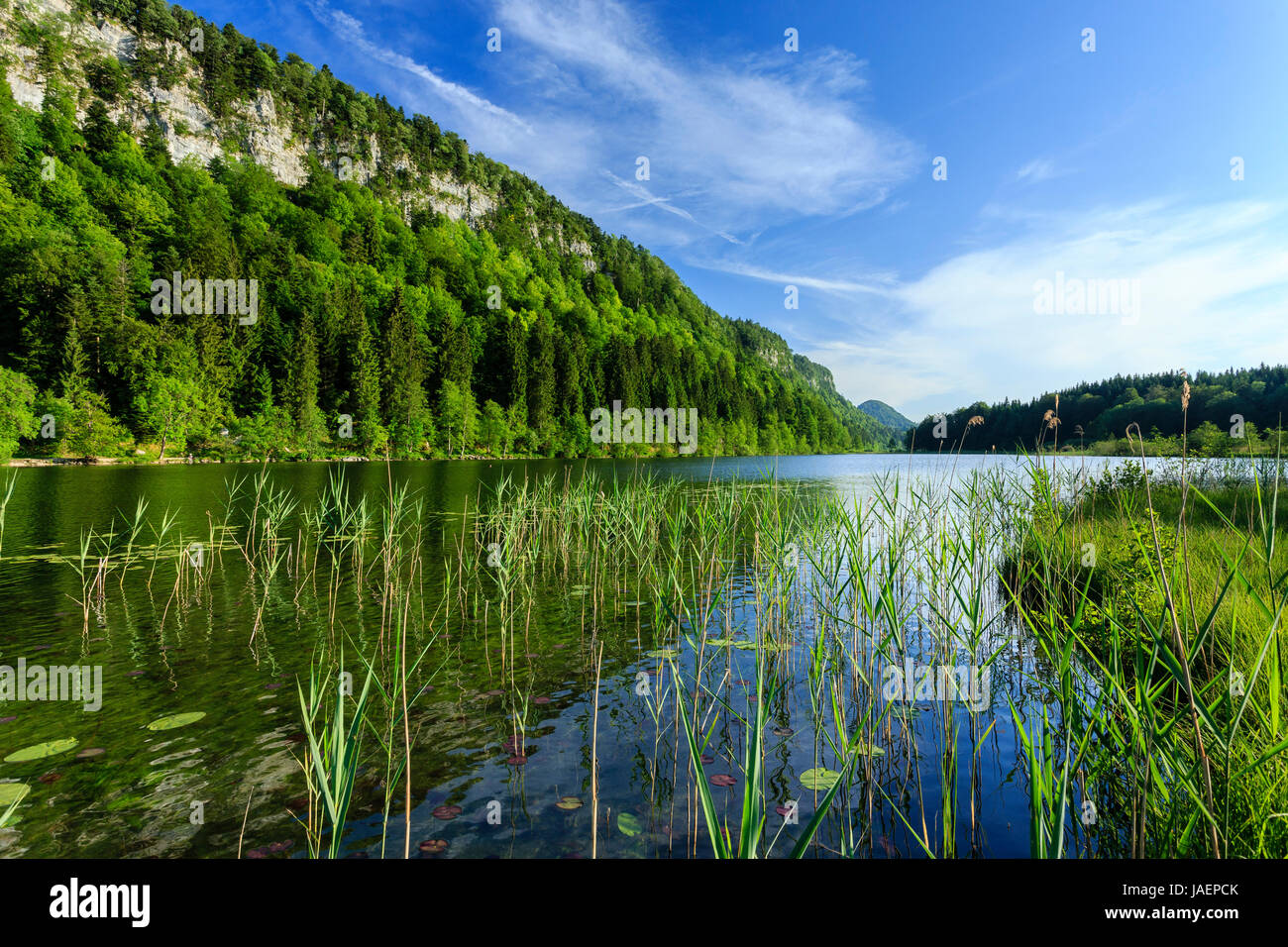 France, Jura, Le Franois, Petit Maclu lake Stock Photo