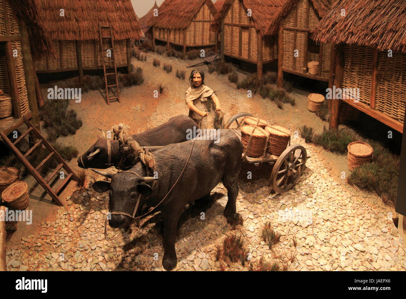 Iron age farming settlement hires stock photography and images Alamy