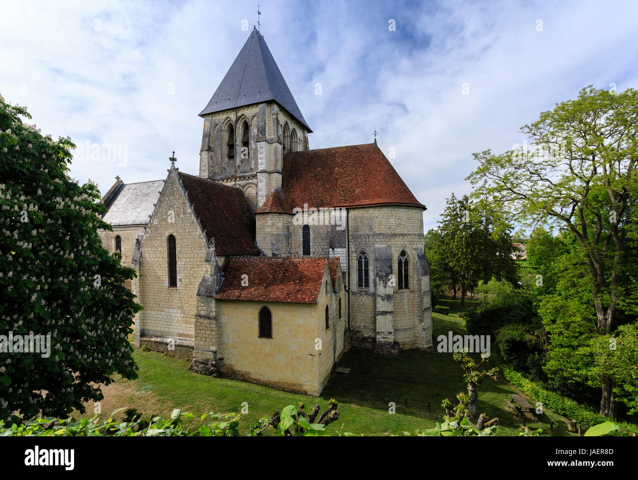 France, Loir et Cher, troo, Saint Martin church Stock Photo