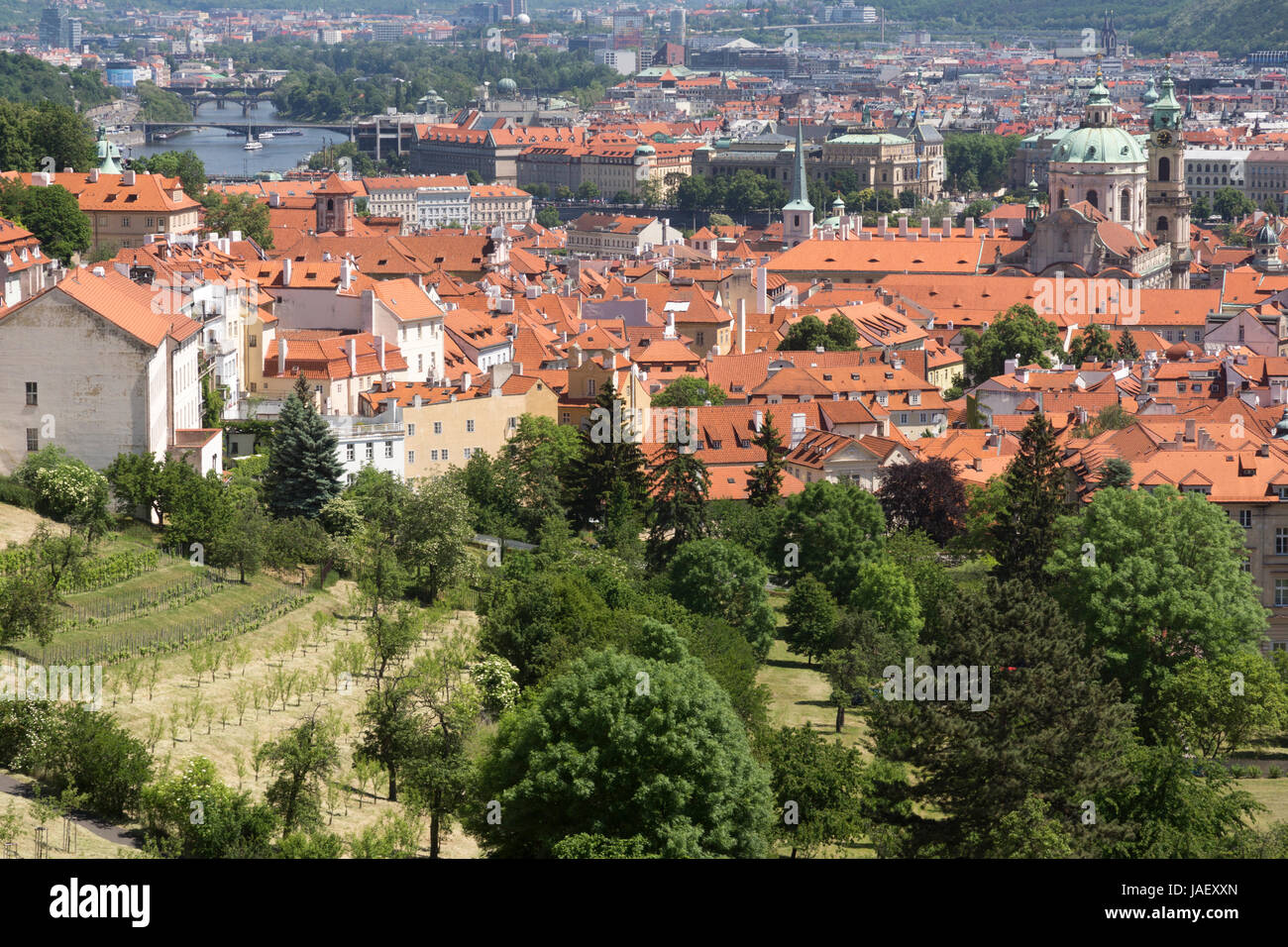 The view across Petrin Hill Park and rooftops, Prague Stock Photo