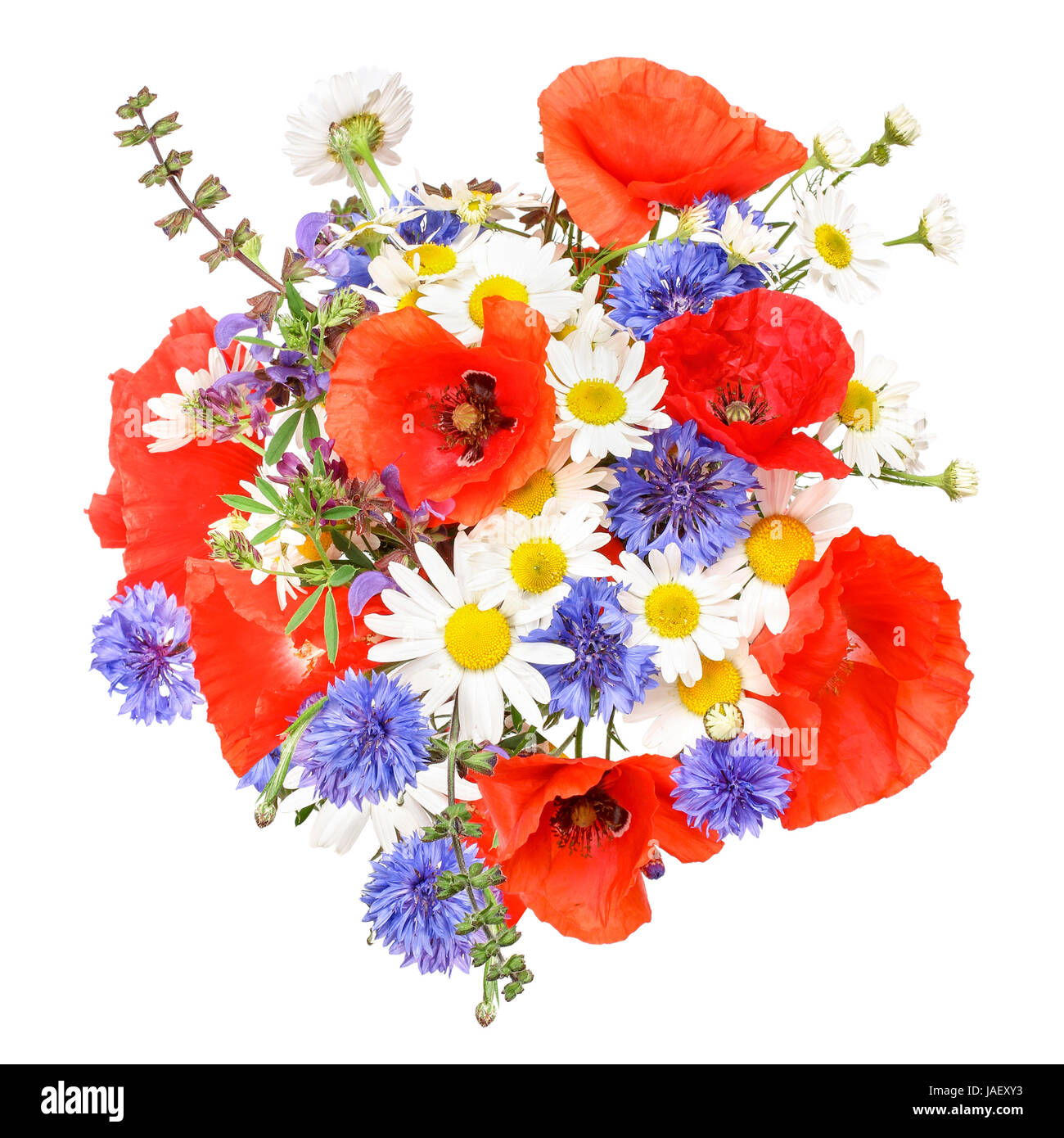 colorful wildflower bouquet with poppies,colorful meadow flowers Stock