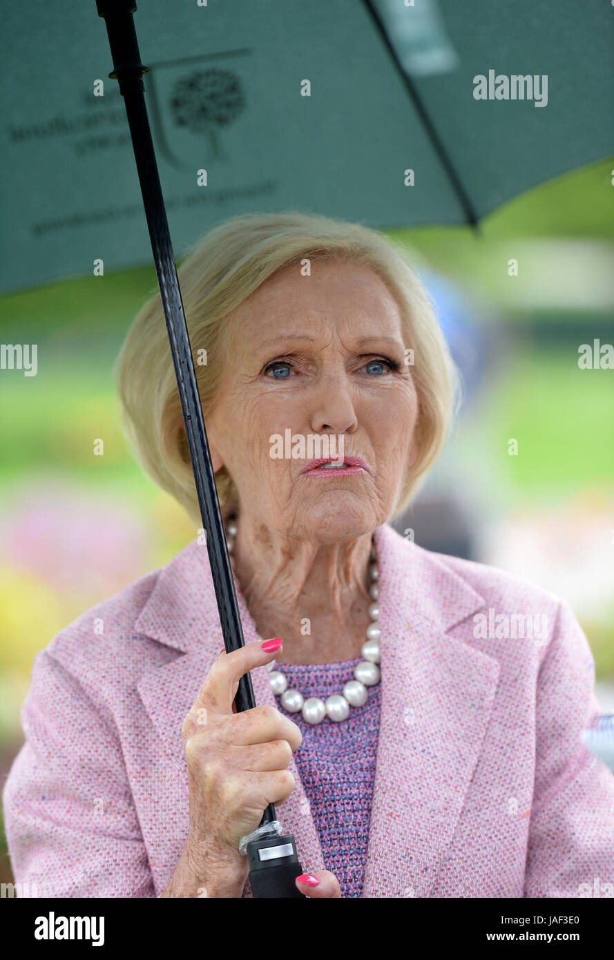 Chatsworth, UK. 06th June, 2017. 6th June 2017. Chatsworth Royal Horticultural Society Flower Show. Picture shows TV presenter Mary Berry sheltering under an umbrella after opening the Chatsworth Royal Horticultural Societies Flower Show at Chatsworth House in Derbyshire, shortly before the show was closed for the day because of adverse weather. Credit: Howard Walker/Alamy Live News Stock Photo