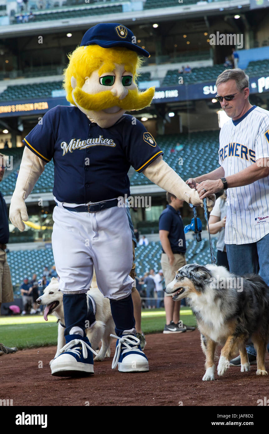 Milwaukee, WI, USA. 6th June, 2017. Bring your dog to the ballpark day at Miller Park. Fans had the oppurtonity to walk their dogs around the field before the Major League Baseball game between the Milwaukee Brewers and the San Francisco Giants at Miller Park in Milwaukee, WI. John Fisher/CSM/Alamy Live News Stock Photo