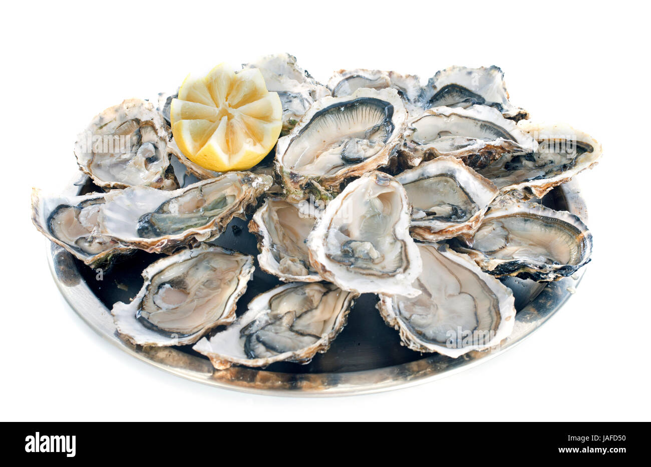 french oysters in front of white background Stock Photo Alamy