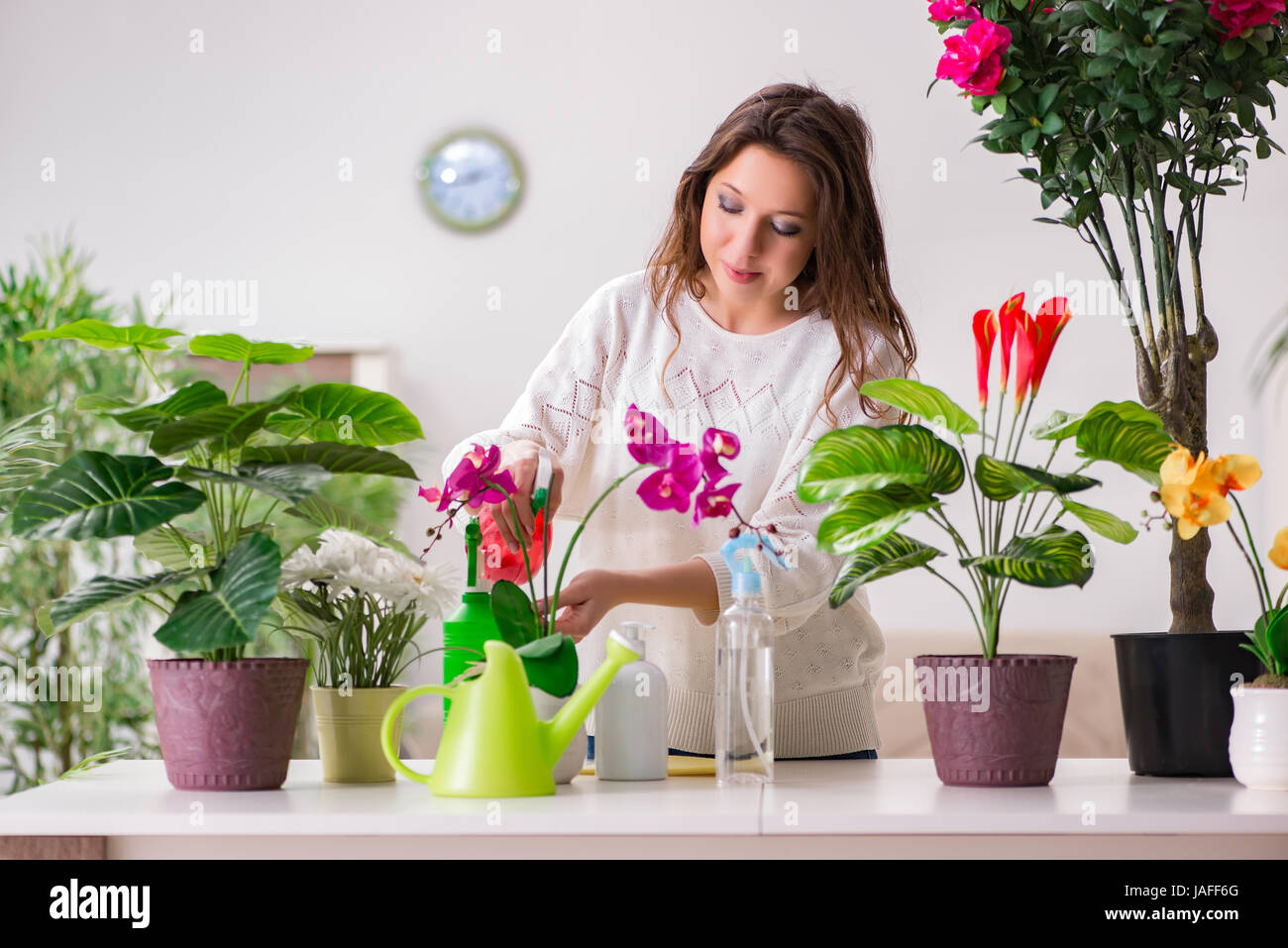 Young woman looking after plants at home Stock Photo Alamy