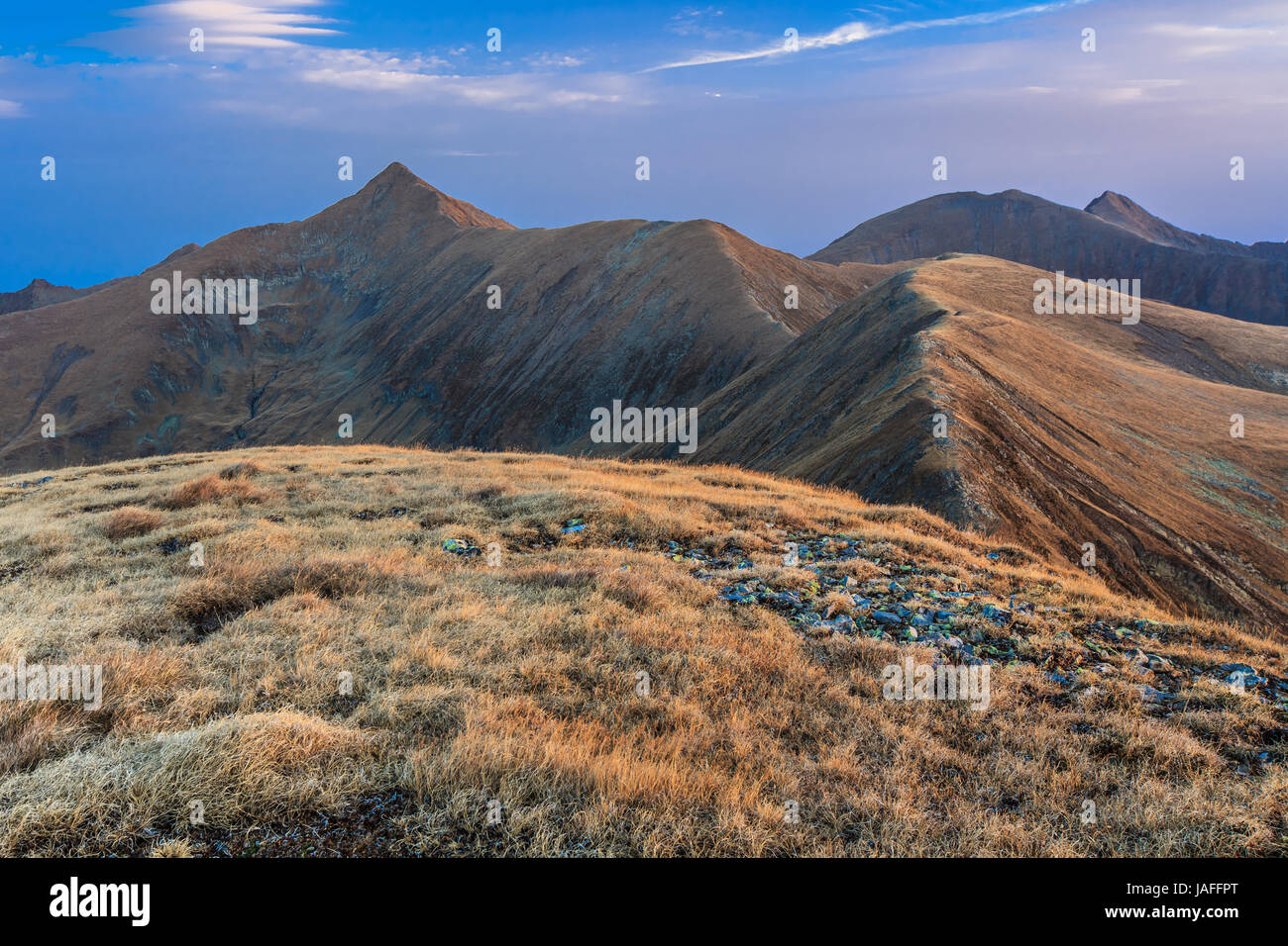 Landscape in Charpathian Mountains of Moldoveanu, the highest summits ...